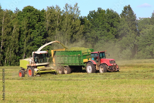 Agriculture  harvesting - yellow white combine harvester harvests silage in red tractor with green trailer on green field in summer afternoon on forest and clear blue sky background  front side view