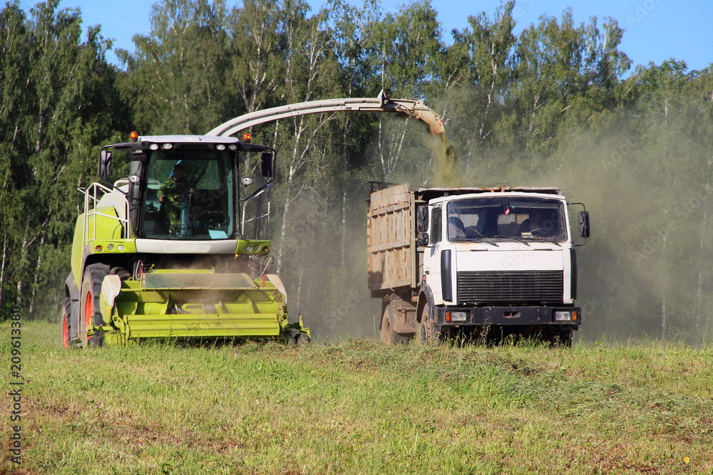 Agriculture, harvesting, rural summer landscape – new yellow-white harvester cutting the silage in the on-board truck on the field. Front view of green forest and blue sky