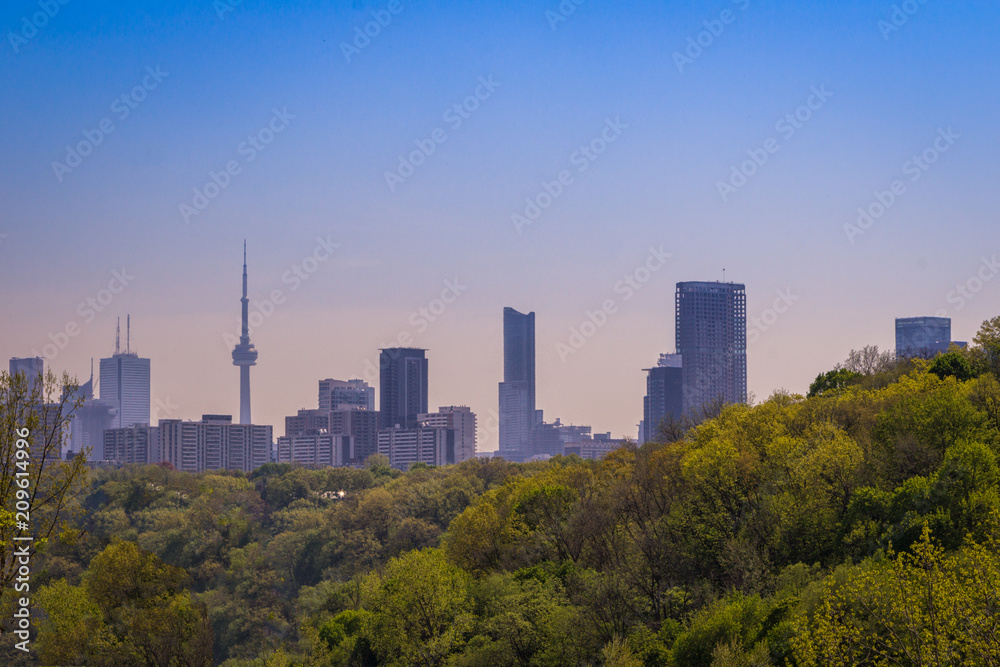 Skyline of Toronto with trees at foreground Skyline of Toronto with trees at foreground