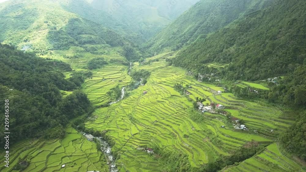 Aerial drone view flying along stunning rice terraces in the Banaue region of the Philippines Aerial drone view flying along stunning rice terraces in the Banaue region of the Philippines