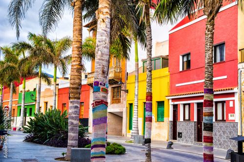  Colourful houses and palm trees on street in Puerto de la Cruz town, Tenerife, Canary Islands, Spain © olenatur