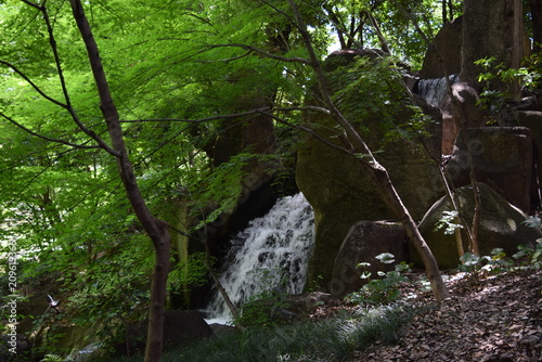 大曽根の滝