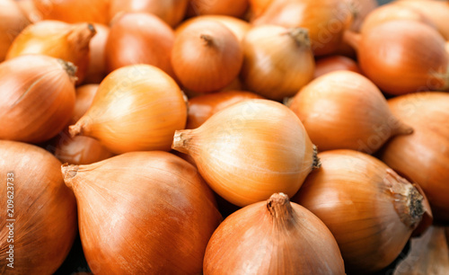 Fresh ripe onions  closeup
