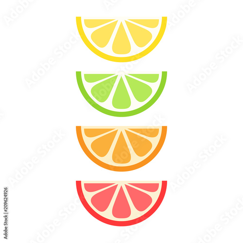 Set of citrus fruit slices; lemon, lime, orange and grapefruit. Vector graphic summer fruit icons.