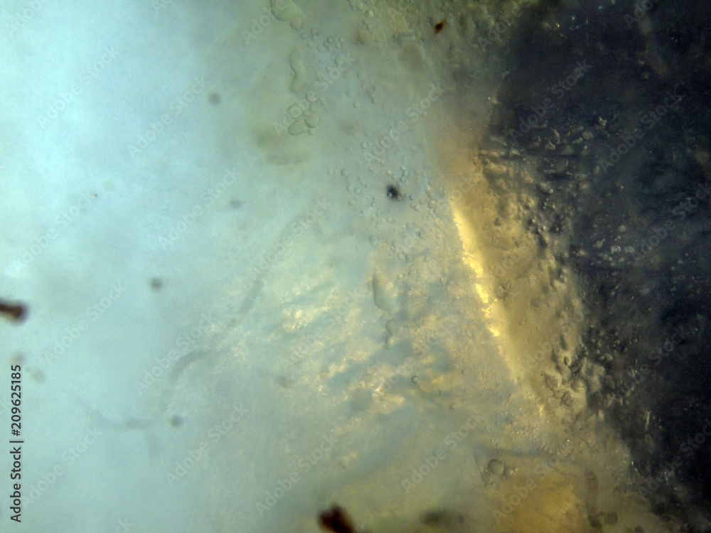 chemical experiment with paints chemical experiment with paints