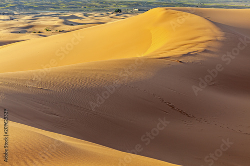 Fototapeta Naklejka Na Ścianę i Meble -  Edge Of The Desert