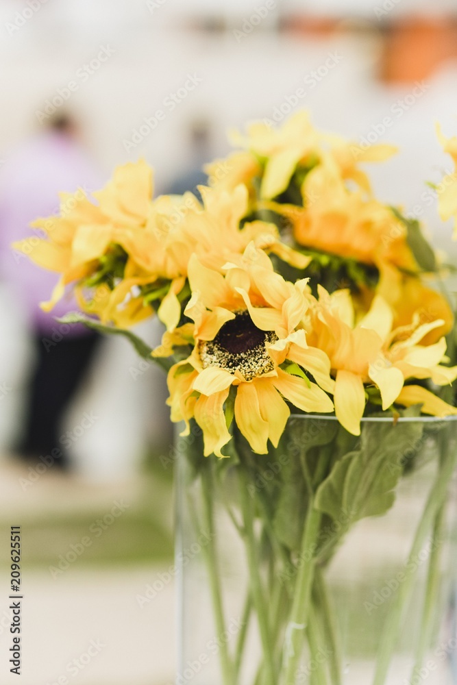 Colorful flowers in the sun with their stamens and pollen Colorful flowers in the sun with their stamens and pollen