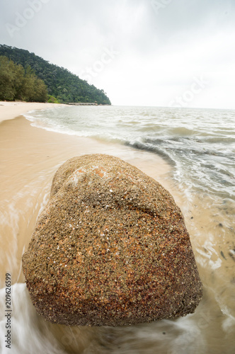 Penang National Park photo