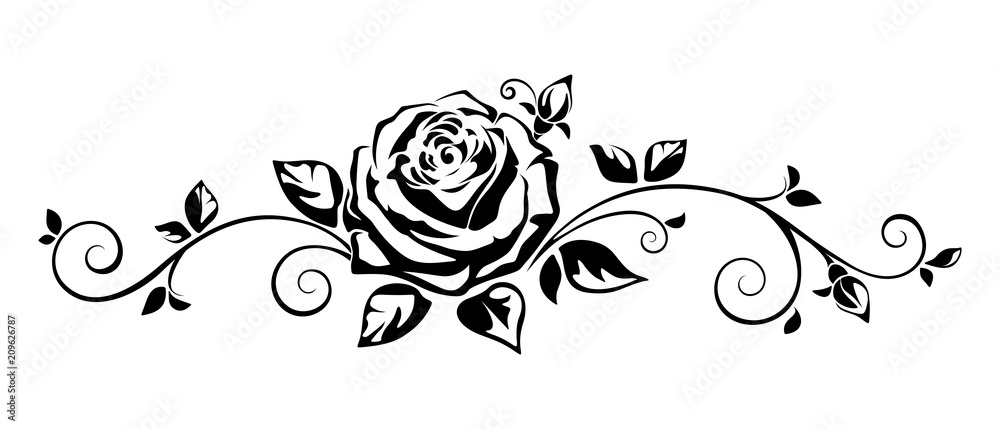 Obraz premium Wektorowa horyzontalna czarny i biały winieta z różą.