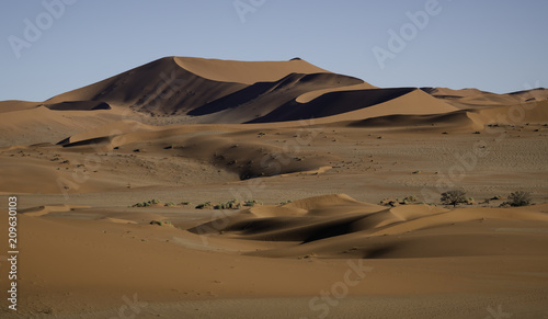 Sand Dunes in the Namib Desert