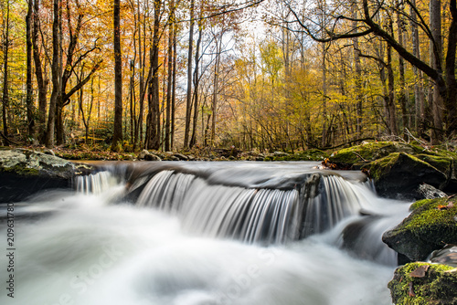 Autumn Stream in the Great Smoky Mountains