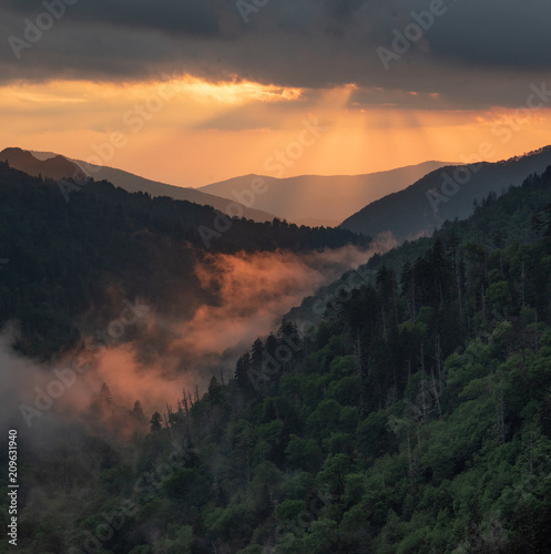 Fototapeta Naklejka Na Ścianę i Meble -  Sunset illuminating the mist in the Great Smoky Mountains