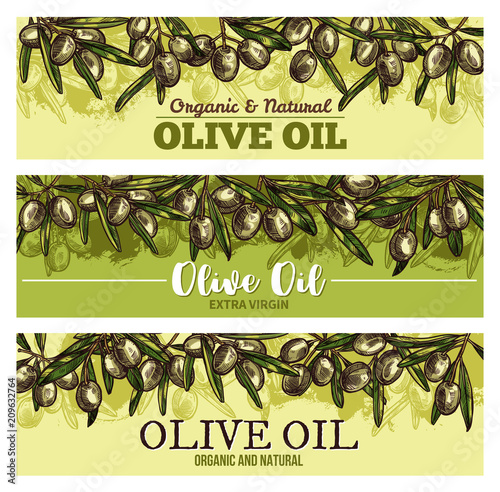 Olive oil banner with border of green fruit sketch