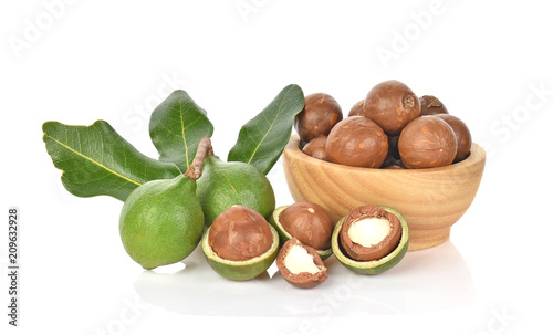 macadamia nuts on white background