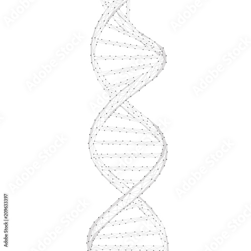 DNA chain spiral chain of nucleotides
