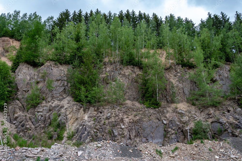 Green trees growing on an exposed slope
