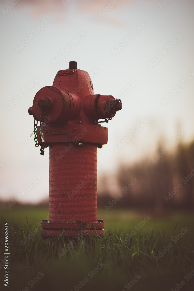 Fire Hydrant