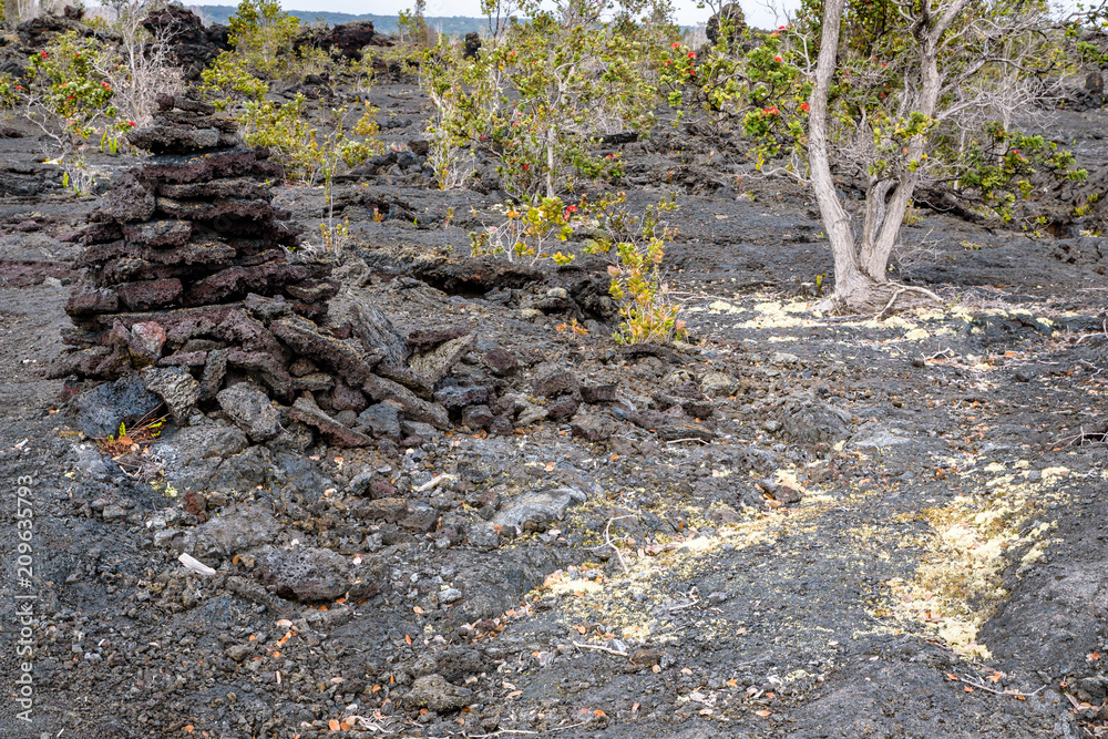 Hiking trail across a lava field marked by a rock cairn, determined trees and grasses growing out of the volcanic rock, Hawaii
