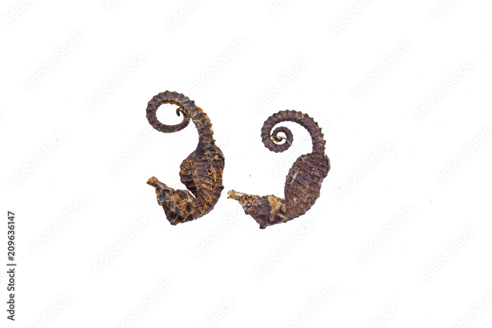 Naklejka premium Chinese herbal medicine hippocampal