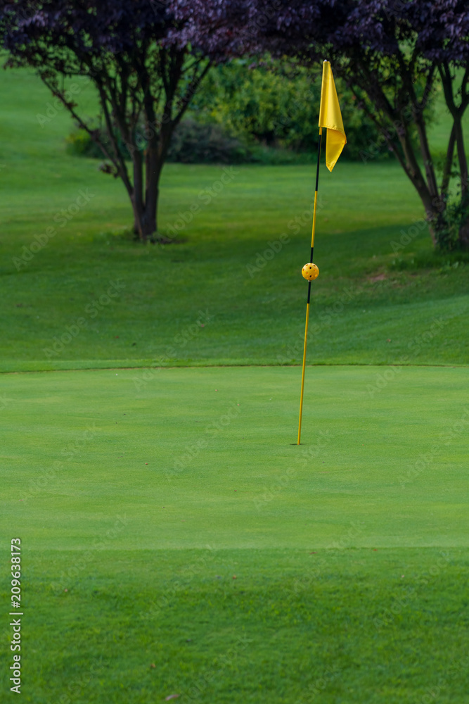 Obraz premium Golf Course, golf green with flag in the hole