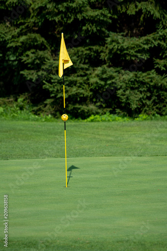 Golf Course, golf green with flag in the hole