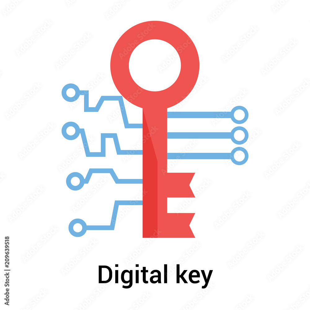 Digital key icon vector sign and symbol isolated on white background, Digital key logo concept Digital key icon vector sign and symbol isolated on white background, Digital key logo concept