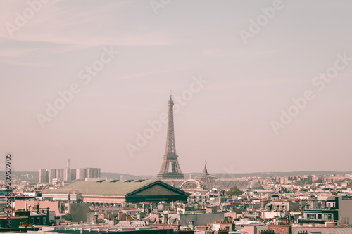 Cityscape view on  beautiful buildings and Eiffel tower © tbralnina