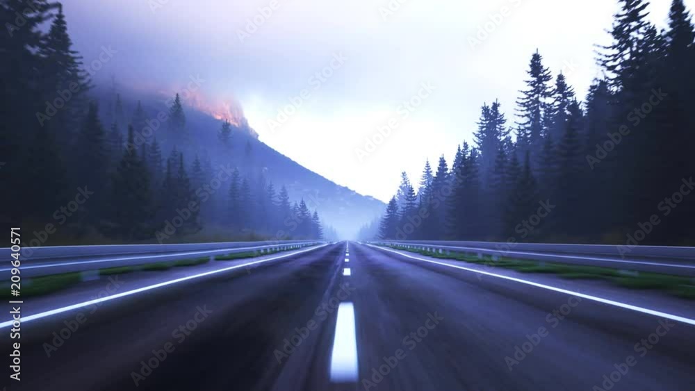 Loopable animation of empty forest asphalt road during foggy dusk or dawn.
