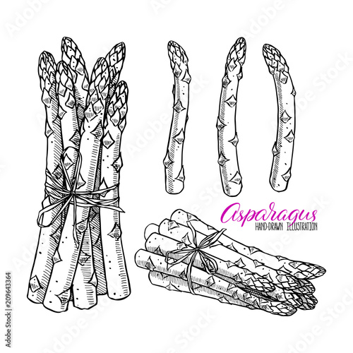 set of asparagus