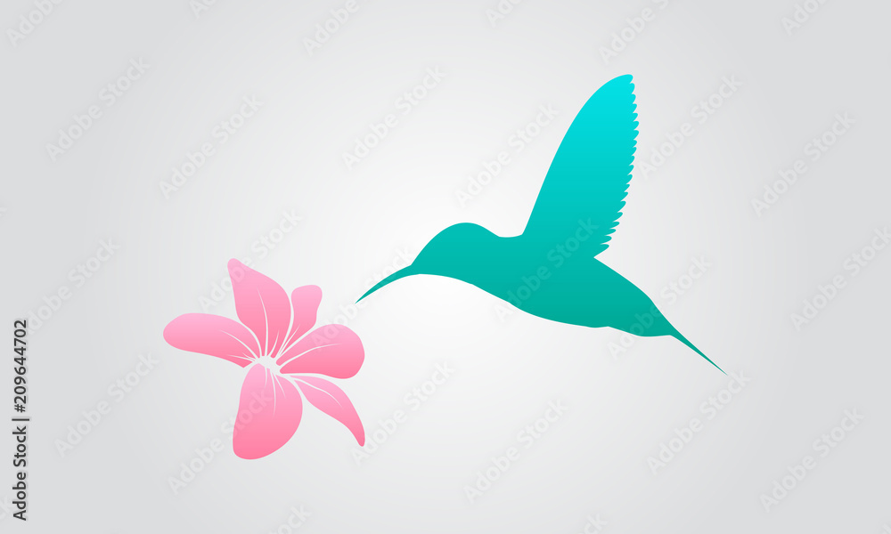 Beautiful hummingbird and a flower Beautiful hummingbird and a flower
