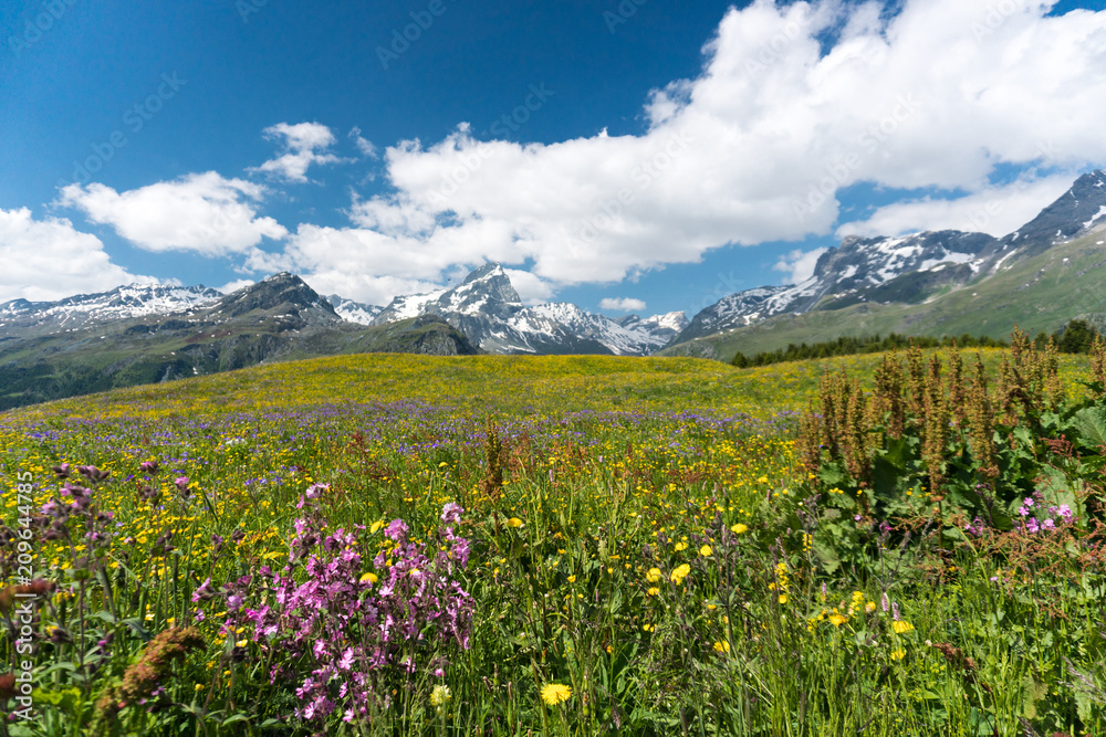 idyllic mountain landscape in the summertime idyllic mountain landscape in the summertime