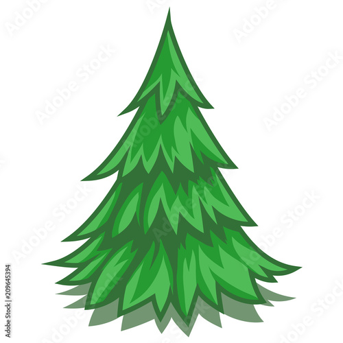 pine tree symbol cartoon