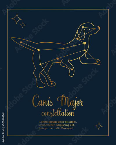 The constellation Canis Major star in the night sky