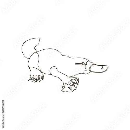 Platypus coloring pages