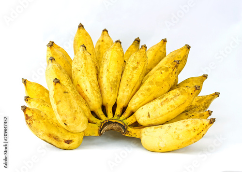 Bunch of yellow Cultivated banana on white background (Musa sapientum Linn., Musaceae) photo