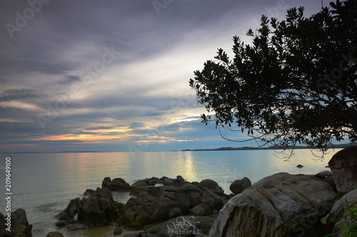 Beach with beatifule mangrove plant photo