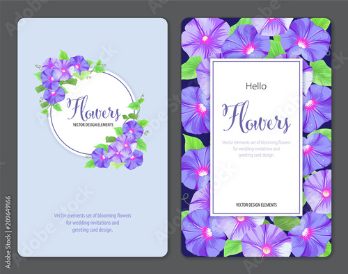 Floral frame with morning glory flowers and leaf on blue background. Vector set of blooming floral for wedding invitations and greeting card design.