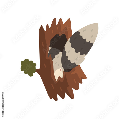 Tail of raccoon sticking out of hollow tree, hollowed out old tree and cute animal cartoon character inside vector Illustration on a white background