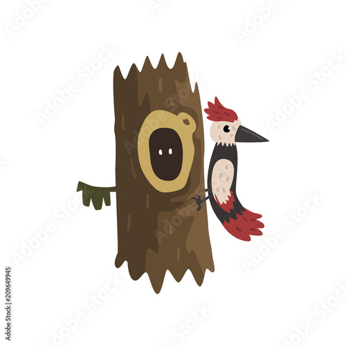 Woodpecker on a hollow tree, hollowed out old tree and cute animal cartoon character inside vector Illustration on a white background