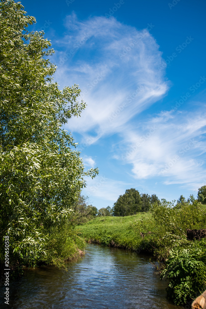 landscape with river and forest landscape with river and forest