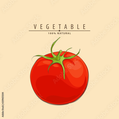 fresh ripe tomatoes illustration