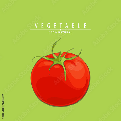 fresh ripe tomatoes illustration