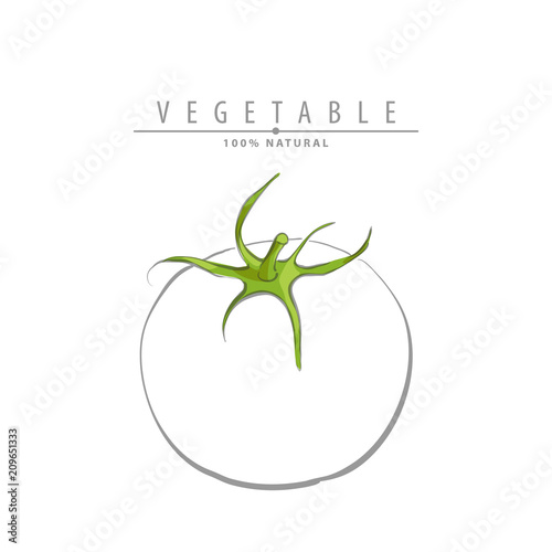 fresh ripe tomatoes illustration