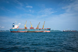 Cargo Ships at Anchorage, Koh Sri Chang, Thailand