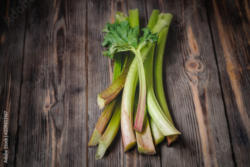 Stems of fresh young rhubarb