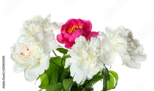 Beautiful peony flowers on white background © Pixel-Shot