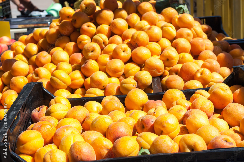 Stall with bright orange apricots for sale on Apricot Fair in Porreres, Mallorca, Spain