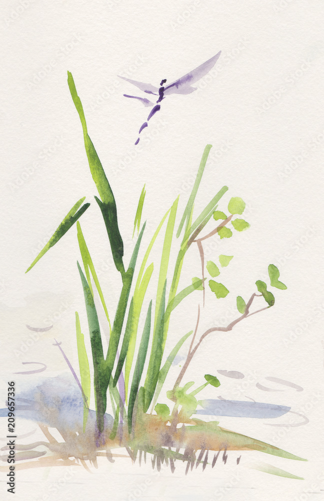 Fototapeta premium dragonfly and reed