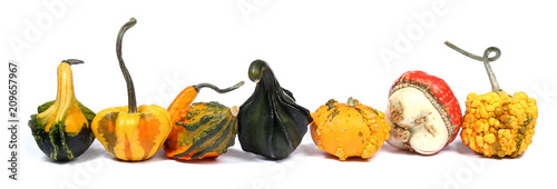 Tableau sur toile Courges, coloquintes, cucurbitacées. Fond blanc