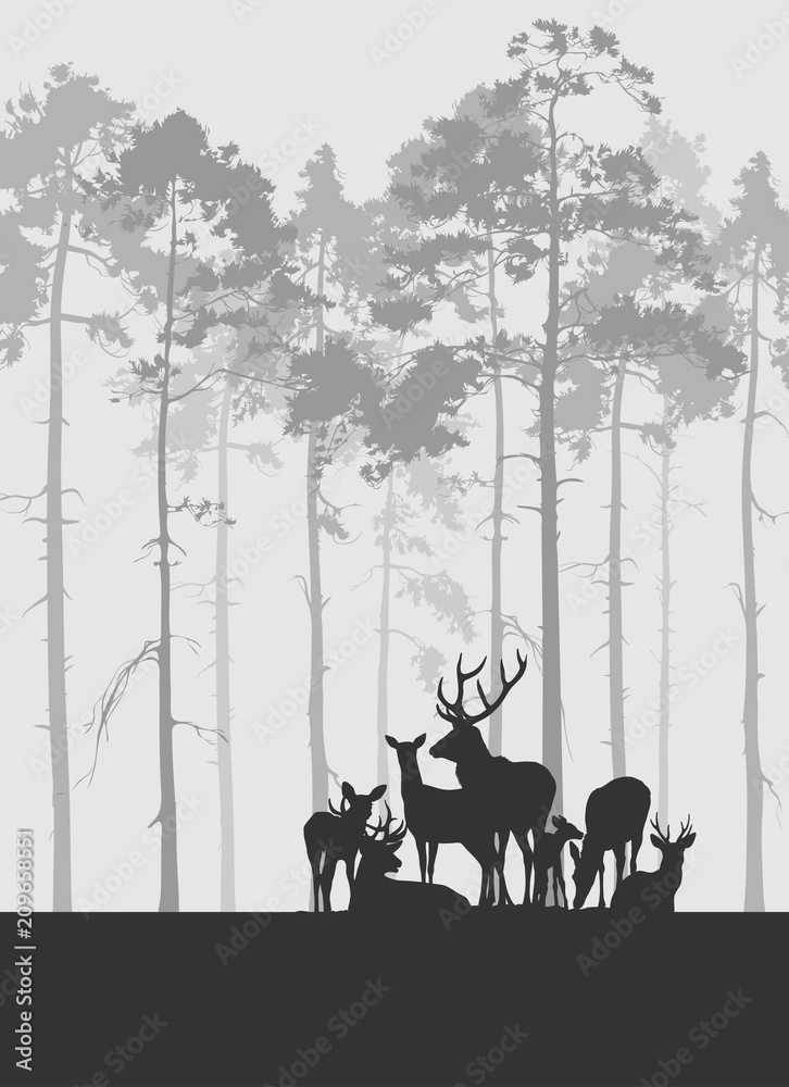 Obraz premium silhouette, vector illustration of a herd of deer against a coniferous forest background